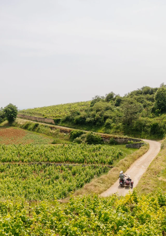 Side Car sur la Route des Grands Crus de Bourgogne