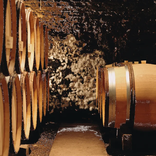 Domaine Denis Carré à Meloisey