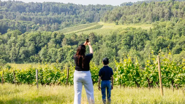 Balade en Hautes Côtes de Nuits en Côte-d'Or