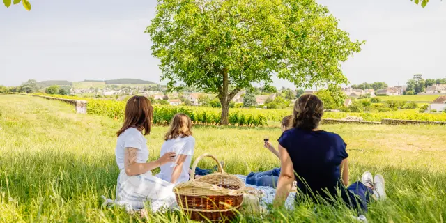 Picnic on the Route des Grands Crus de Bourgogne