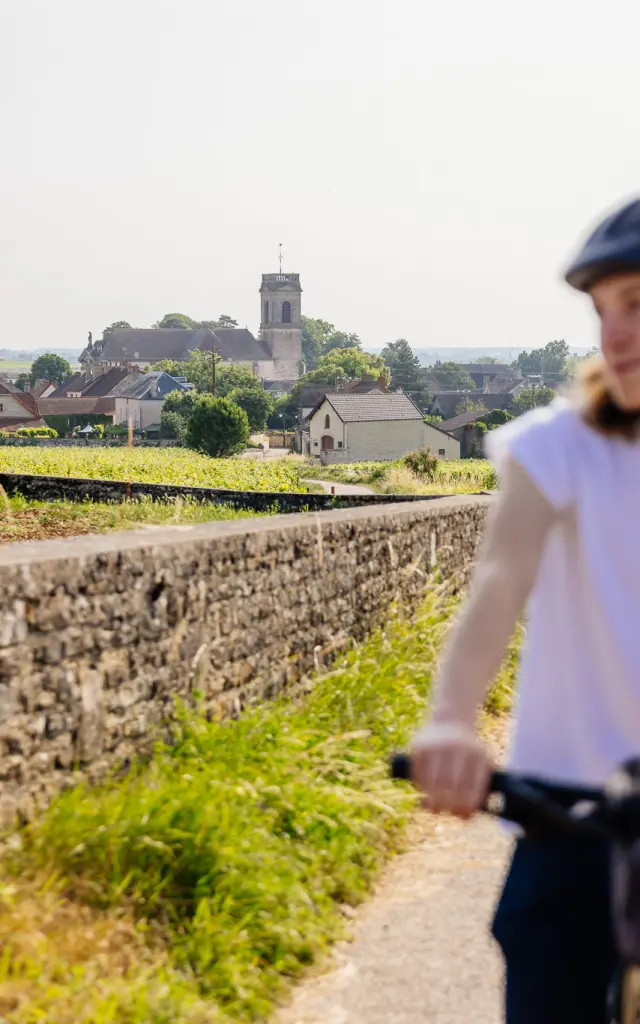 Balade à vélo à Pommard