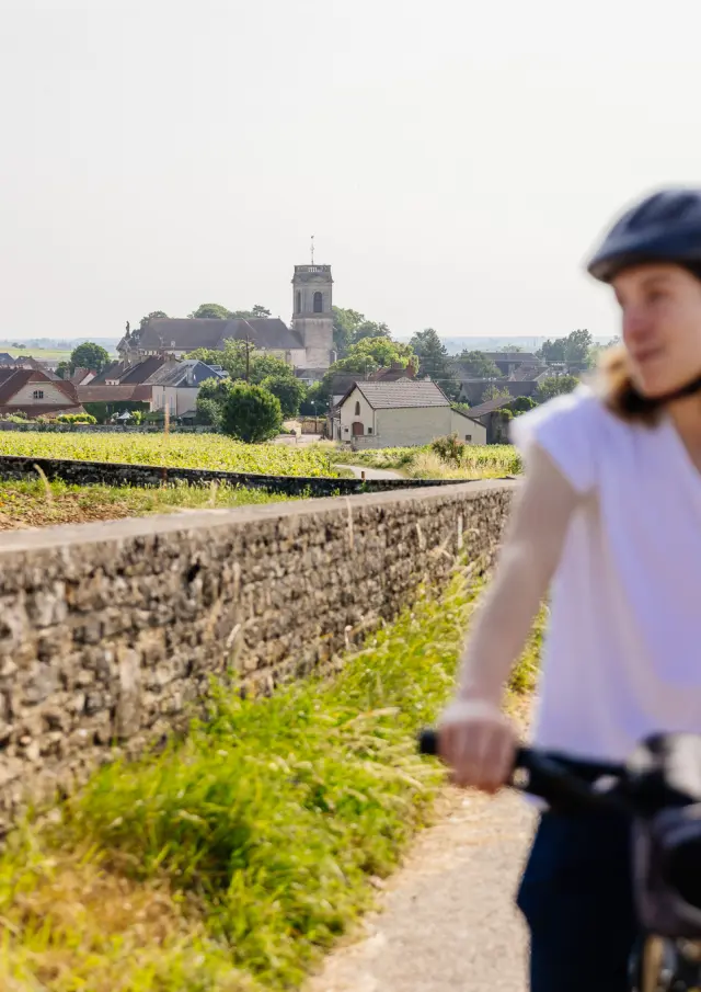 Balade à vélo à Pommard