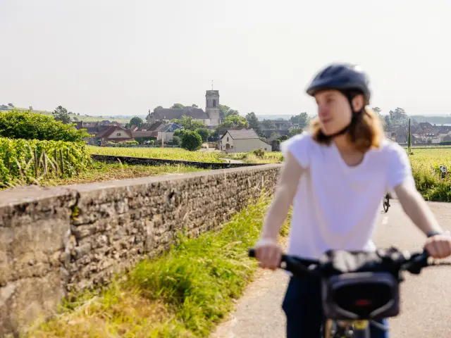 Balade à vélo à Pommard