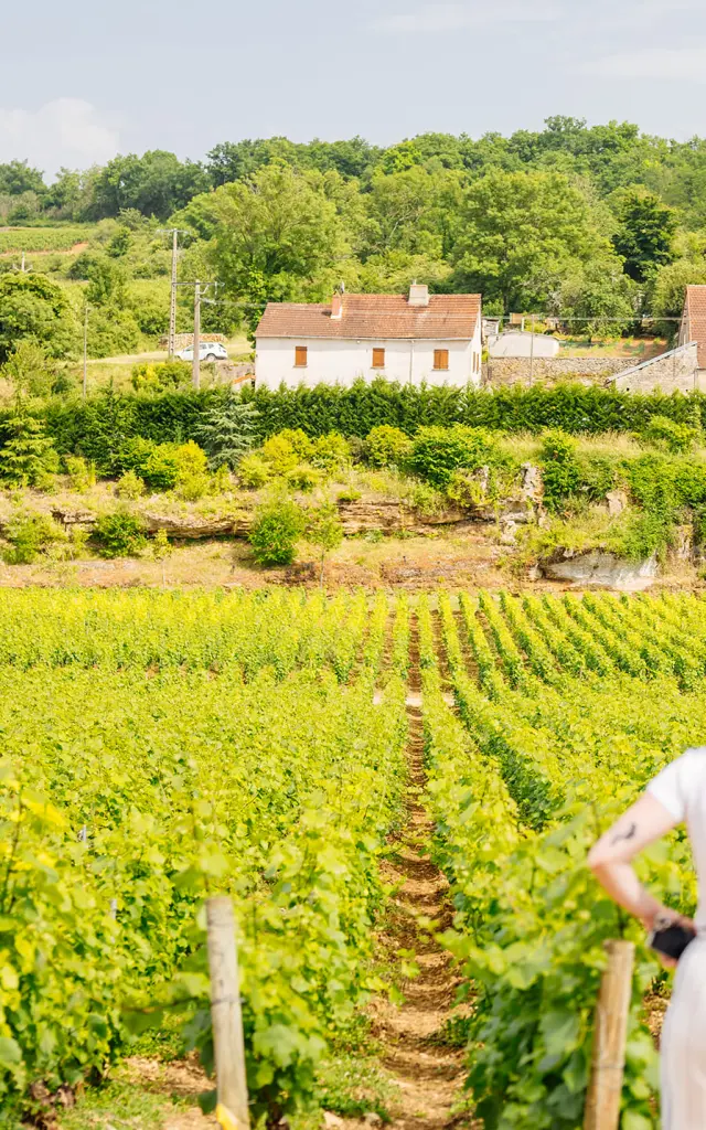 Château De Saint Aubin - Route des Grands Crus de Bourgogne