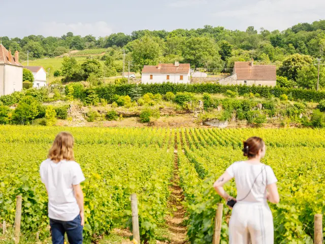 Château De Saint Aubin - Route des Grands Crus de Bourgogne