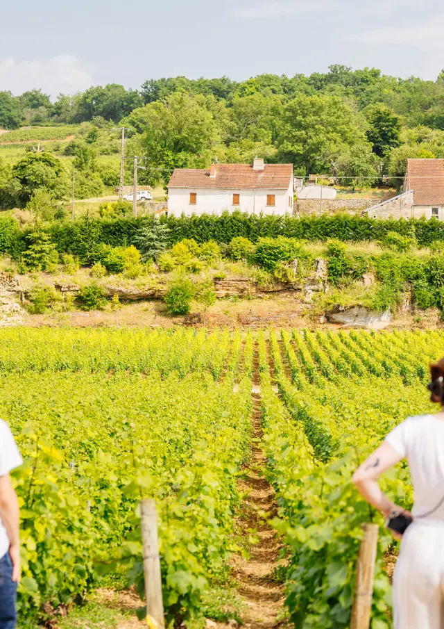 Château De Saint Aubin - Route des Grands Crus de Bourgogne