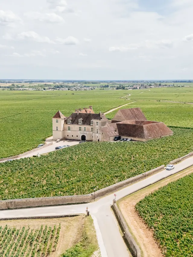 Vue aérienne Château du Clos de Vougeot