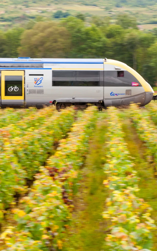 TER Bourgogne entouré de vignes