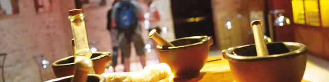 Atelier Moutarde Maison Edmont Fallot