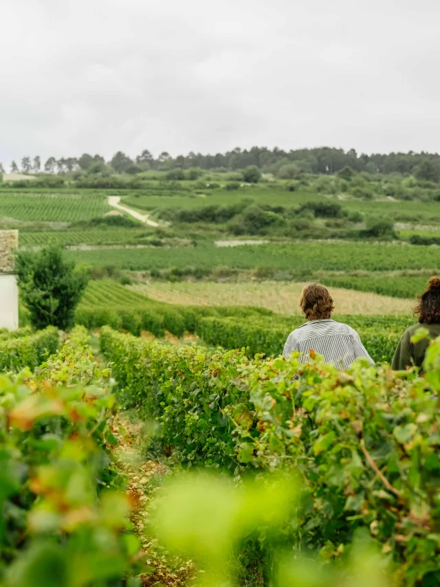 Balade sur la Route des Grands Crus de Bourgogne
