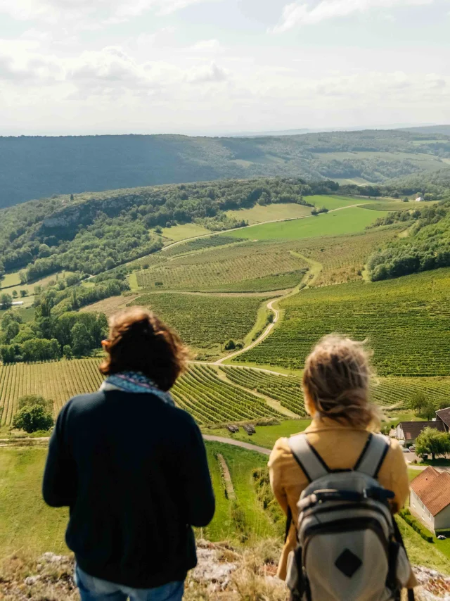 Randonnée sur la Route des grands Crus de Bourgogne