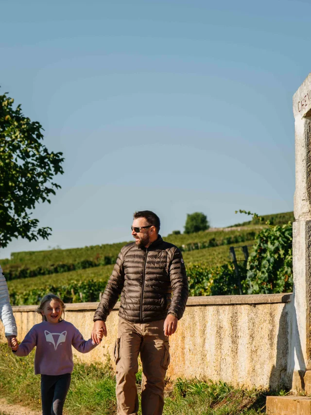 Randonnée dans les vignes en famille