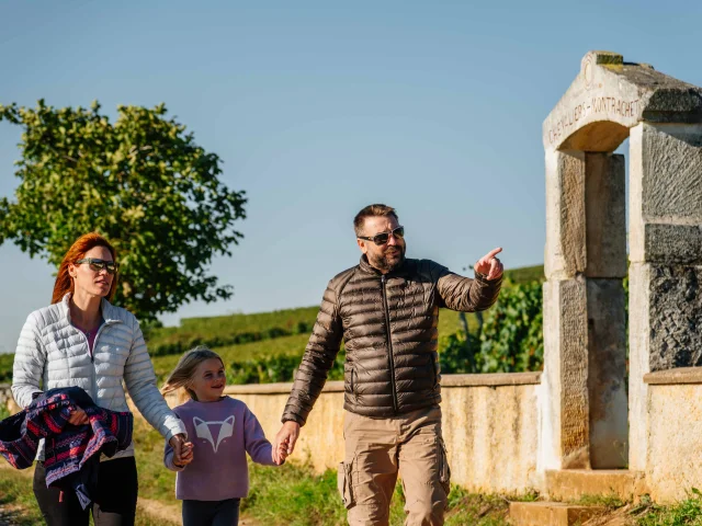 Randonnée dans les vignes en famille