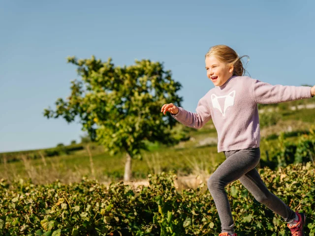 Randonnée dans les vignes en famille