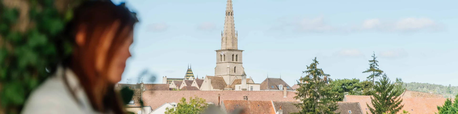 Meursault- Route des Grands Crus de Bourgogne