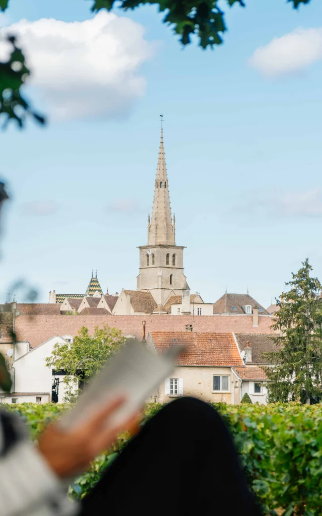 Meursault- Route des Grands Crus de Bourgogne