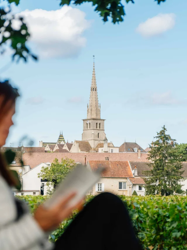 Meursault- Route des Grands Crus de Bourgogne