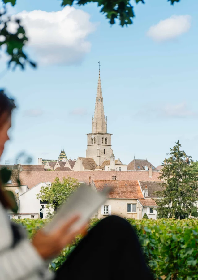 Meursault- Route des Grands Crus de Bourgogne