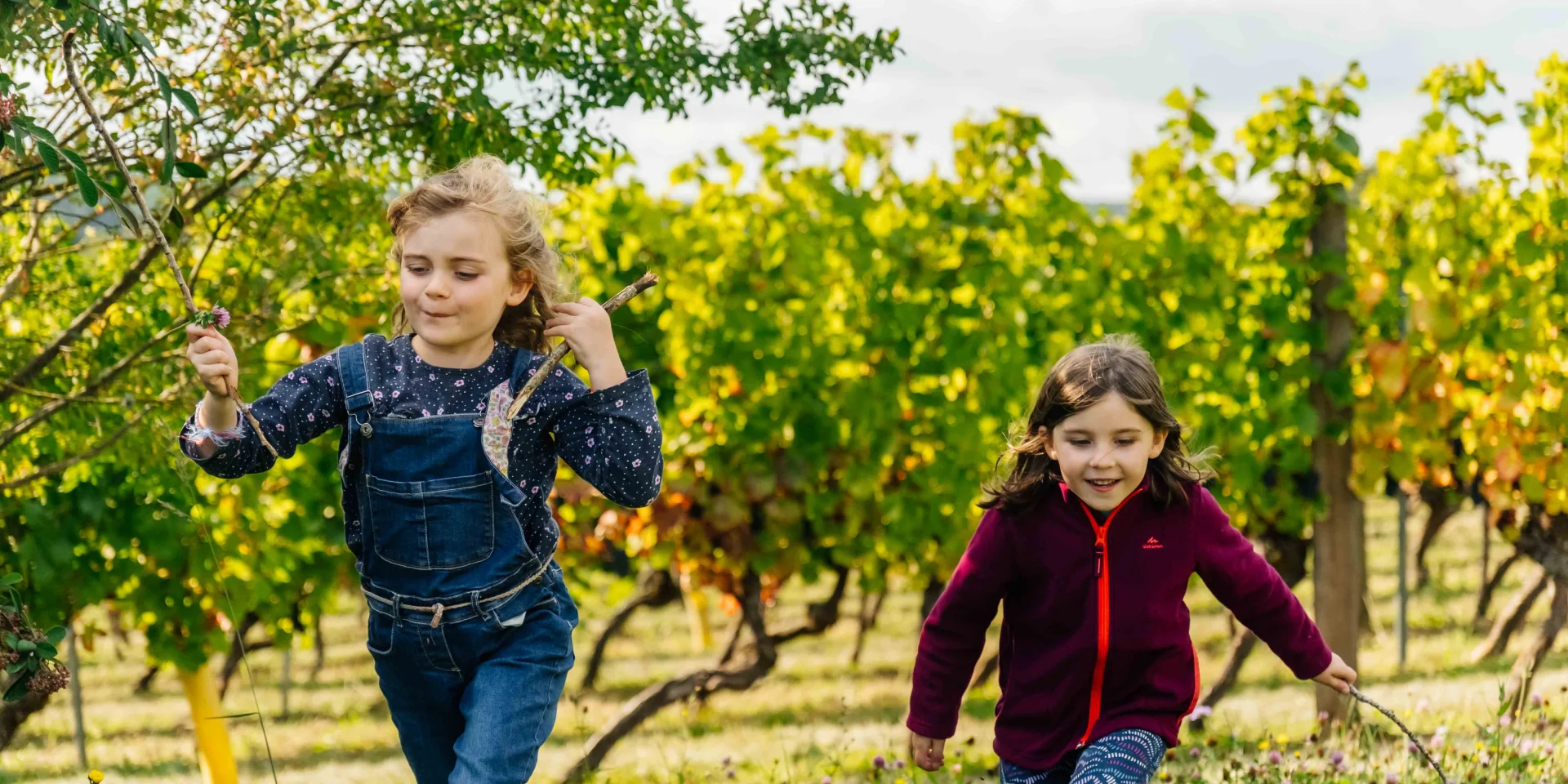 Route des Grands Crus de Bourgogne