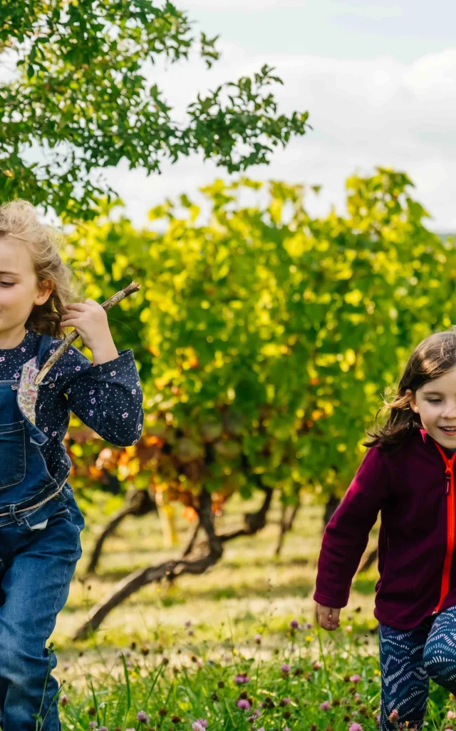 Route des Grands Crus de Bourgogne