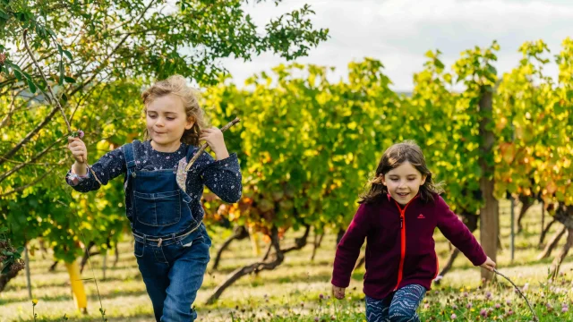 Route des Grands Crus de Bourgogne