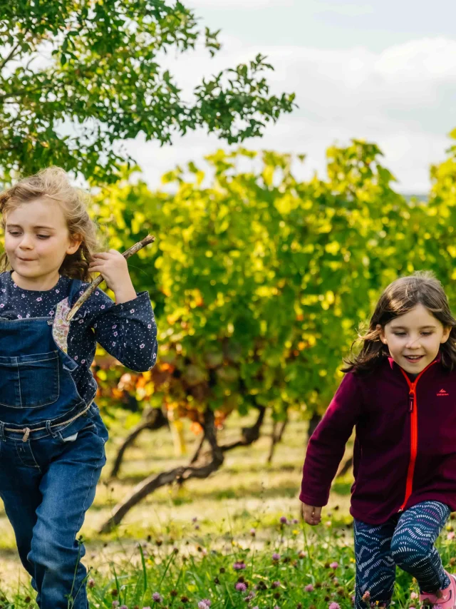 Route des Grands Crus de Bourgogne