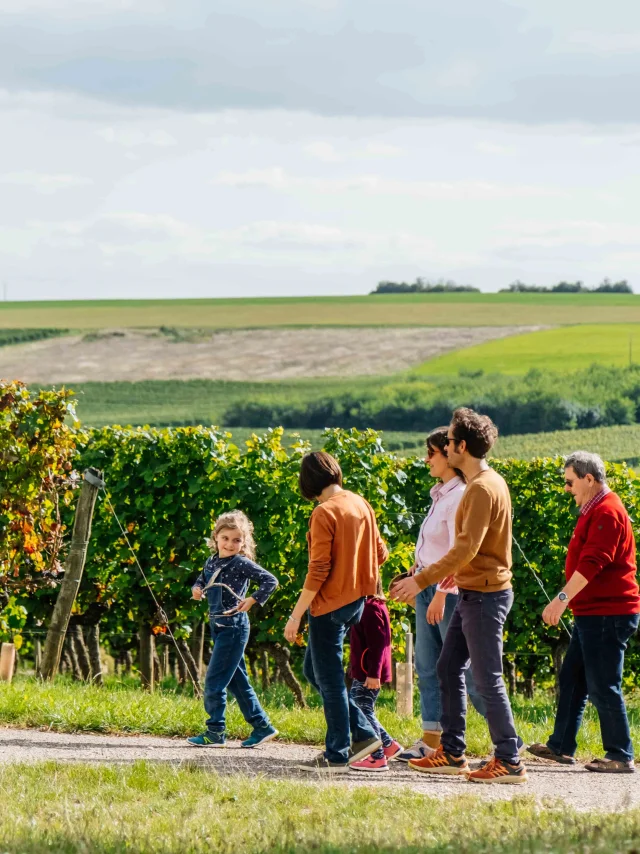 Domaine Thevenot - Route des Grands Crus de Bourgogne