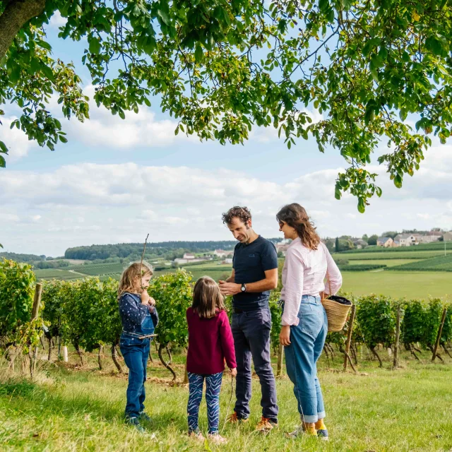 Domaine Thevenot à Marey-lès-Fussey