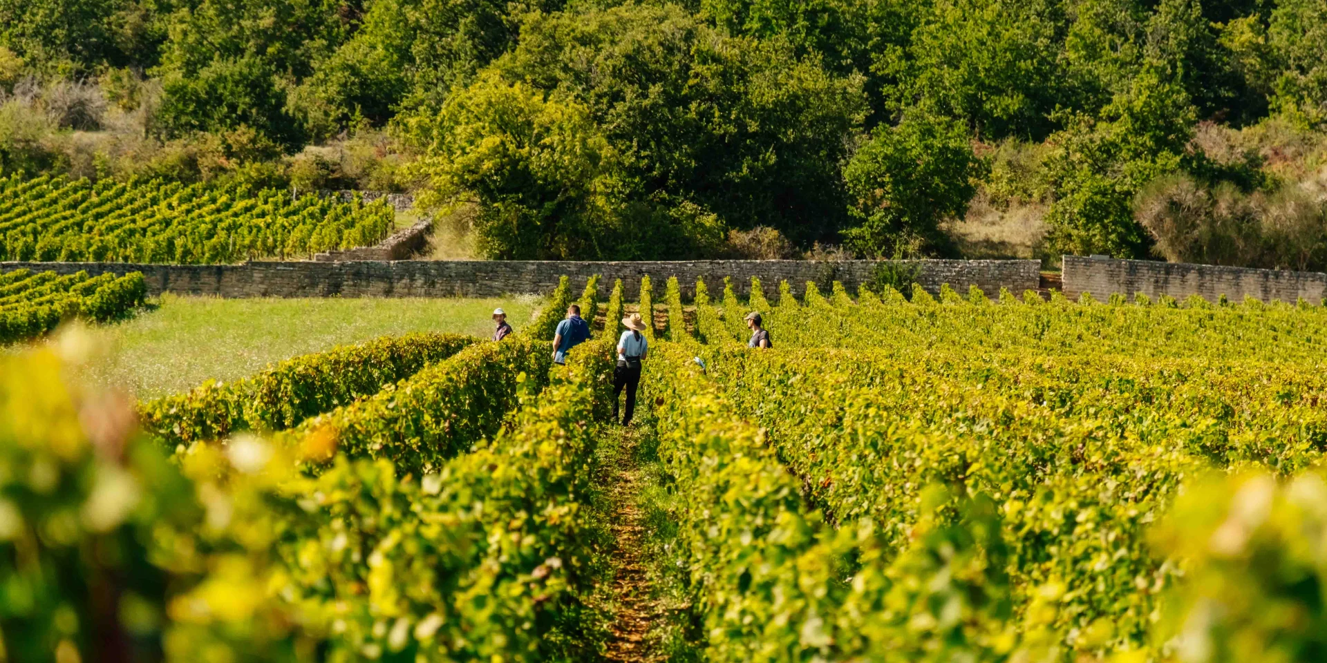 Château du Clos de Vougeot en Côte-d'Or