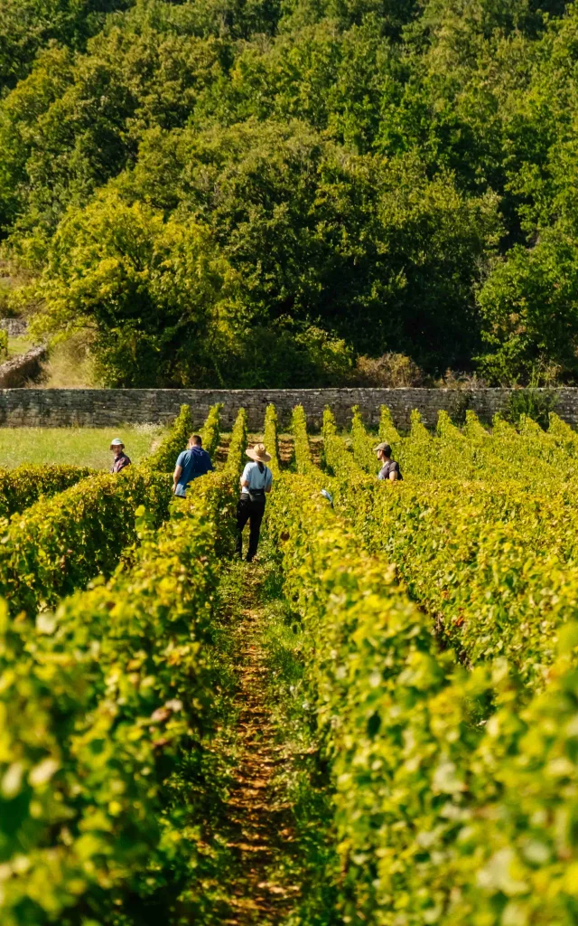 Château du Clos de Vougeot en Côte-d'Or