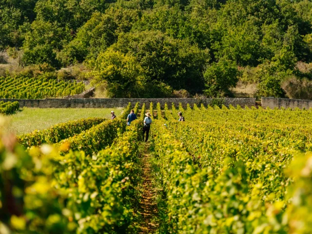 Château du Clos de Vougeot en Côte-d'Or