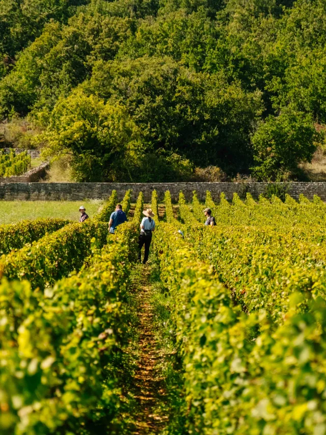 Château du Clos de Vougeot en Côte-d'Or