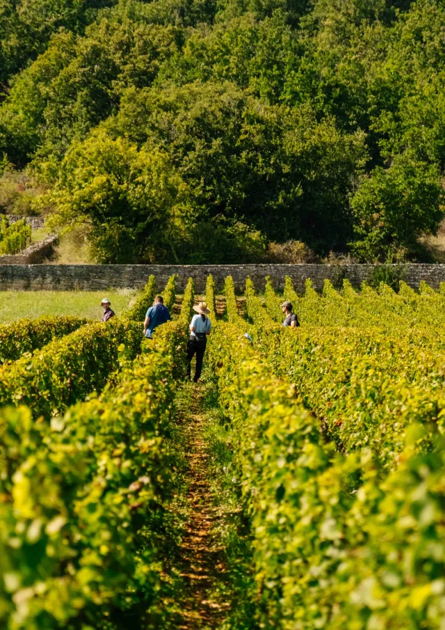 Château du Clos de Vougeot in the Côte-d'Or