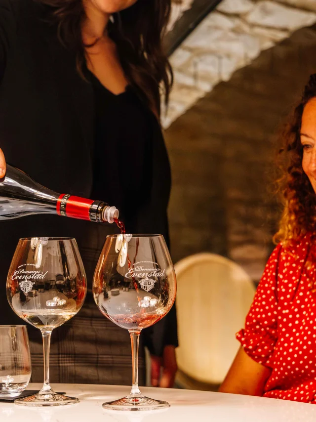 Domaine Evenstad à Santenay en Côte-d'Or, Dégustation