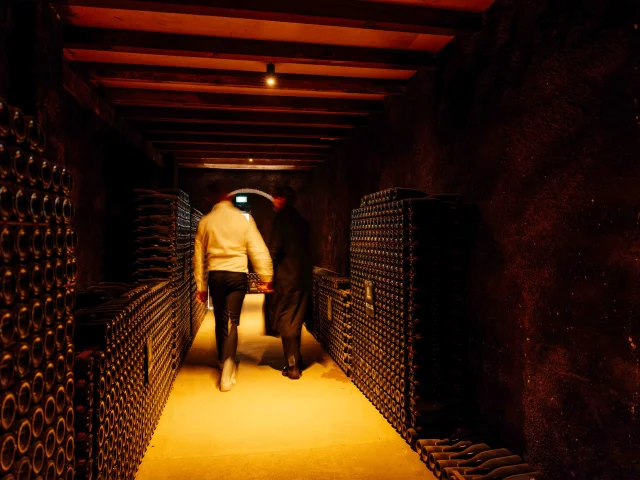 Caves Patriarche - Route des Grands Crus de Bourgogne