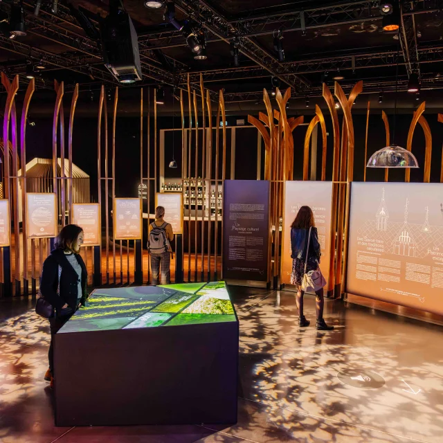 Cité des Climats et vins de Bourgogne à Beaune