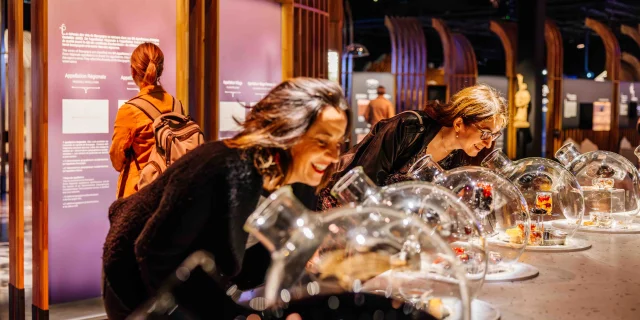 Cité des Climats et vins de Bourgogne à Beaune