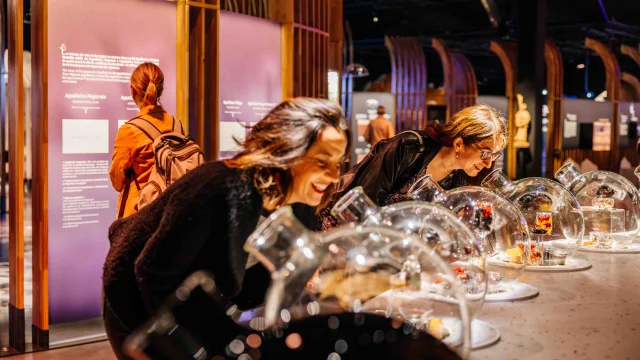 Cité des Climats et vins de Bourgogne à Beaune
