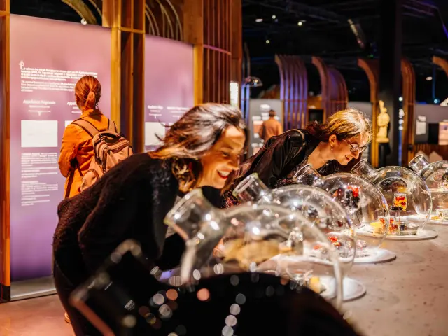 Cité des Climats et vins de Bourgogne à Beaune