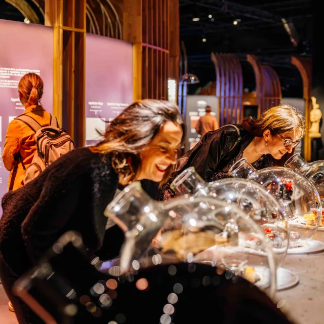 Cité des Climats et vins de Bourgogne à Beaune