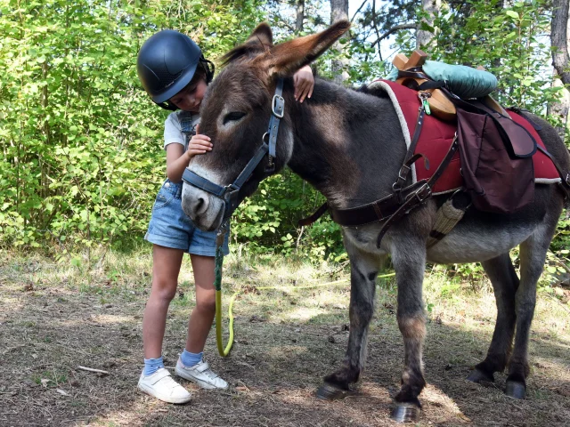 Balade Avec Des Anes Kayane - Route des Grands Crus de Bourgogne