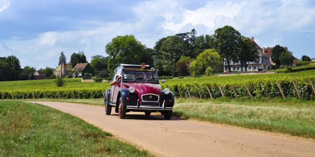 Millesime Drive-Route des Grands Crus de Bourgogne