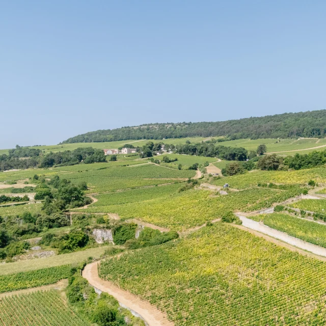 Route des Grands Crus de Bourgogne vue du ciel