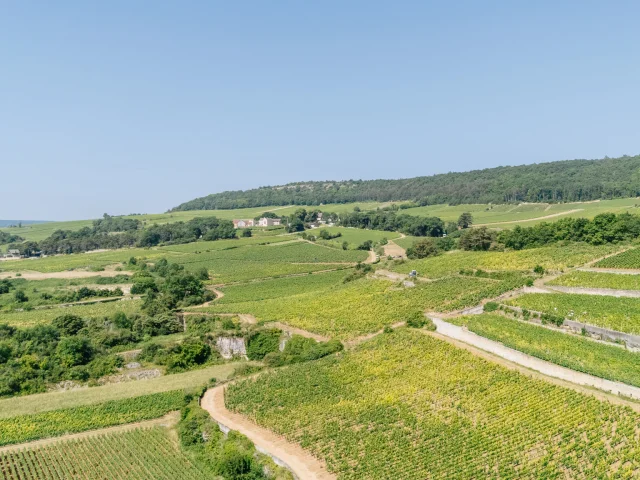 Route des Grands Crus de Bourgogne vue du ciel