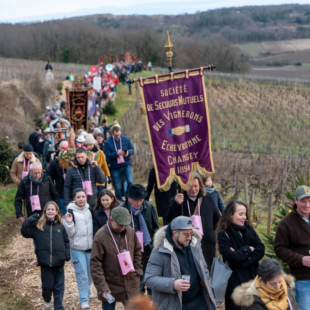 Saint Vincent Tournante 2025 à Ladoix-Serrigny