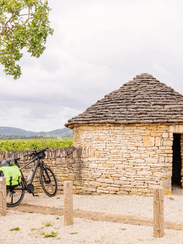 Balade à vélo dans les vignes sur la Route des Grands Crus de Bourgogne