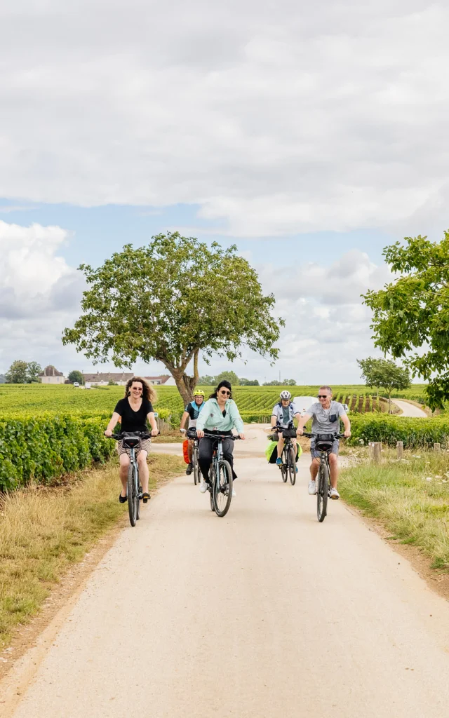 Balade à vélo dans les vignes sur la Route des Grands Crus de Bourgogne