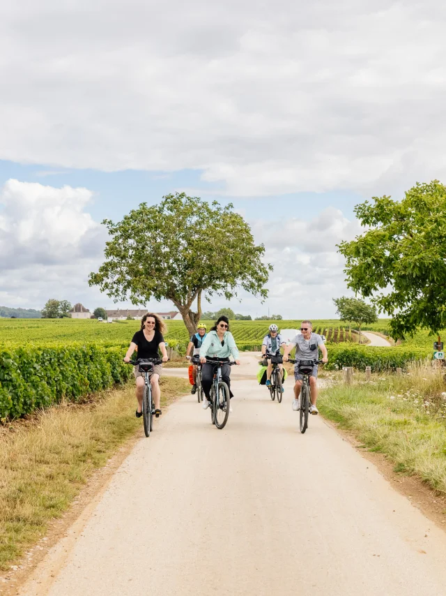 Balade à vélo dans les vignes sur la Route des Grands Crus de Bourgogne
