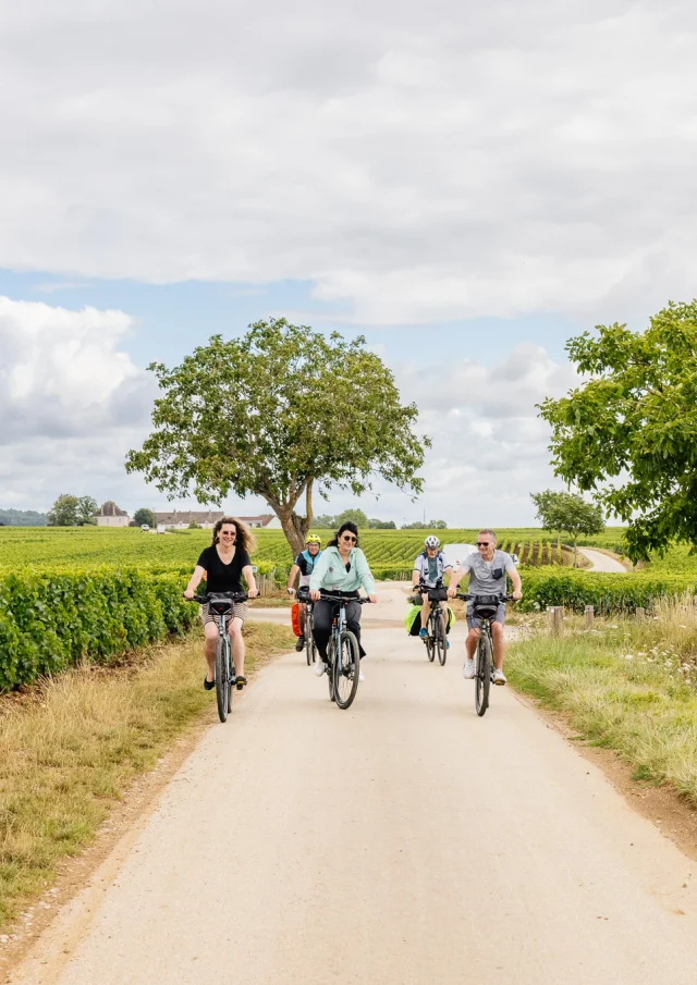 Balade à vélo dans les vignes sur la Route des Grands Crus de Bourgogne