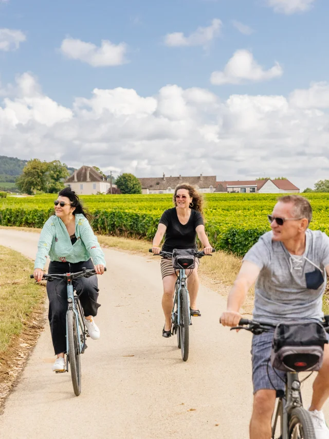 Balade à vélo dans les vignes sur la Route des Grands Crus de Bourgogne